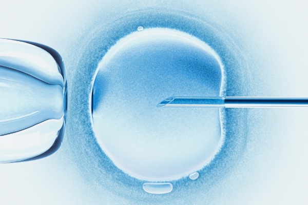 fertilizare in vitro
